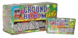 SHOGUN GROUND BLOOM WITH BANG